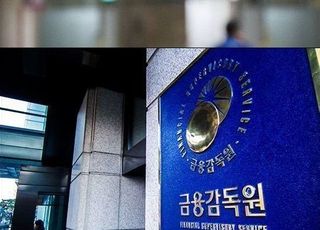 [금융감독 개편 초읽기①] 잇따른 펀드사태에 12년만에 대수술 예약
