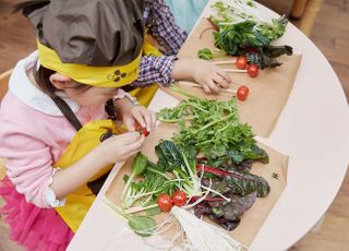 CJ프레시웨이, 유치원 대상 안전성 담보한 식자재 공급량 늘어