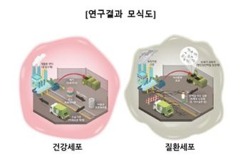 한국도레이과학진흥재단, 세포 내 단백질 복합체 품질관리 기전 규명 지원