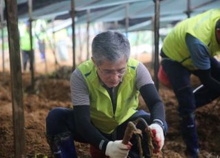 농협생명 임직원, 폭염 속 수해피해 복구 일손돕기 나서