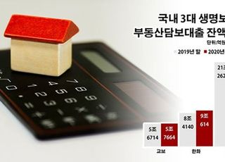 '규제 사각지대' 보험사 향하는 부동산대출 '풍선효과'