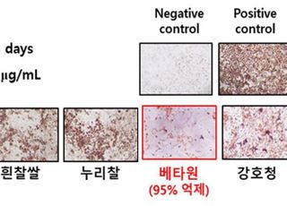 차세대 반려동물 연골질환 치료제 개발 가능성 열려