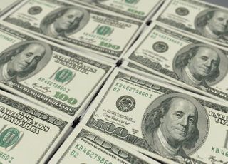 코로나·해외주식 열풍에…5대 은행 달러예금 고공행진