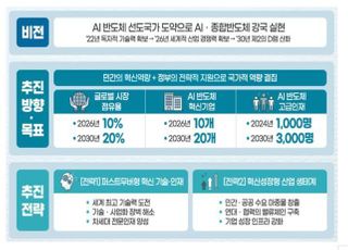 미래먹거리로 부상하는 AI반도체…‘제2의 D램’ 신화 이어갈까