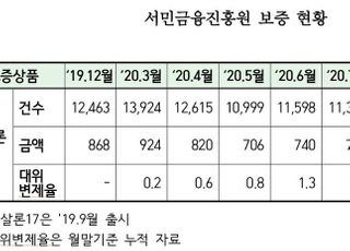 [국감2020] '햇살론17' 대위변제율 3.4% ↑…서민 빚 상환력 하락