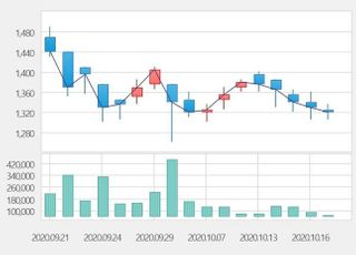 [특징주] GRT, 외부감사 리스크에 급락