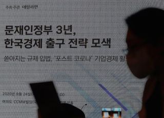 왜 기업만을 징벌(懲罰)하여야 하는가?