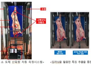 AI로 쇠고기 산육량·육량등급 자동 측정한다