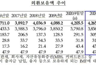 10월 외환보유액 4265.1억 달러…전월比 59.6억 달러↑