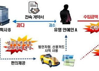 가족 기획사 이용해 탈세한 유명 연예인 수십억원 추징 당해