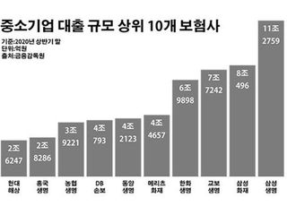 중소기업 대출 한껏 불린 보험사…이익 좇다 '된서리'