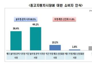 전경련 "소비자 10명 중 8명, 중고차 시장 불신"