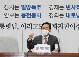 "추미애, 또 헛발질"…국민의힘, 청와대 특활비도 정조준