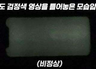 애플 ‘아이폰12’, 디스플레이 결함 논란…“OLED 검은화면 맞아?”