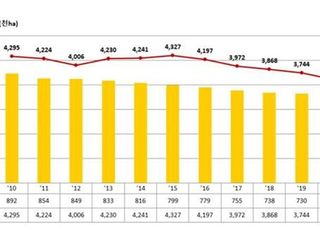 올해 쌀값 비상…쌀 생산량 뚝 떨어지면서 벌써 31% 올라