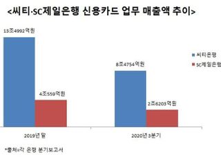 잘나가던 카드 시장 수익 뚝뚝…씨티·SC제일은행 “돌파구 찾아라”