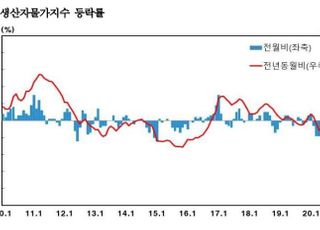 10월 생산자물가 하락 전환…농산물 15%↓