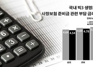 생보사 사망보험 금리 부담 5% 육박…역마진 자충수 왜