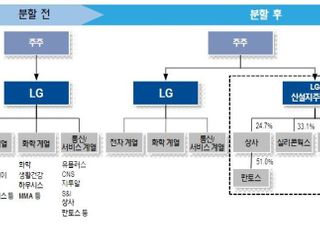 LG 인적분할, 기업가치 재평가 주목…주가 향방은