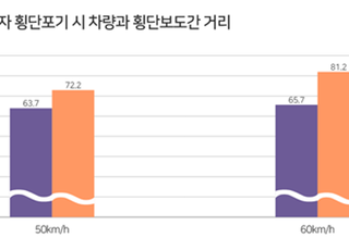 고령자 무단횡단 사고가 많았던 이유…“횡단판단 능력 떨어져”