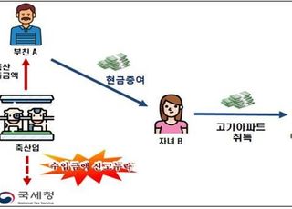 국세청, 올해 부동산 변칙 탈세 1203억원 추징