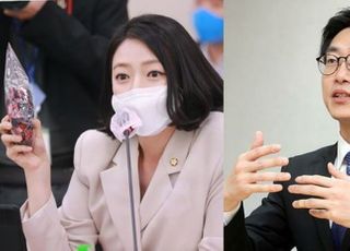 배현진 "김종인, 文정권 탄생부터 사과해야"…민주당 "배현진 잘한다"