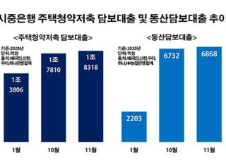 정부 대출규제 풍선효과 도미노…금융권 짜투리 대출도 고공행진
