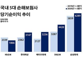 '깜짝 실적' 손보업계, 금융당국 배당 자제령에 '딜레마'