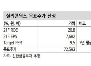 “실리콘웍스, 내년 OLED 모멘텀 강화...목표가↑”-신한금융투자