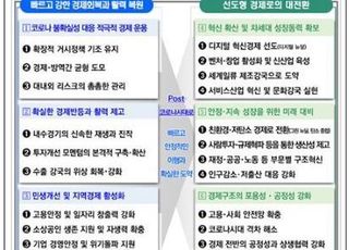 [2021 경제정책] 3+3 정책 뜯어보니…‘뉴딜’로 경제회복 가능할까