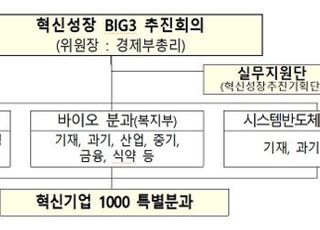 [2021 경제정책] BIG3산업에 역량 총동원…시스템반도체로 新격차 창출