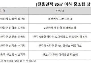 중소형이 인기…아파트 거래 10채 중 8채는 전용 85㎡ 이하