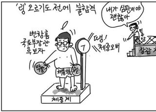 [D-시사만평] 변창흠 장관자리 걱정마…민주당, 우리편은 합격