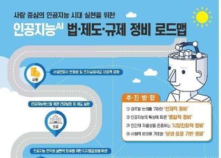 AI가 범죄 일으키면 누가 책임지나…‘규제정비 로드맵’ 마련