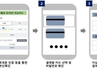 "안심하고 해외직구"…'가상카드 발급서비스' 전 카드사 확대