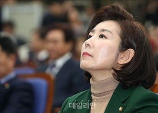 [정도원의 정치공학] 나경원 '원정출산 의혹' 종결과 '대깨문'