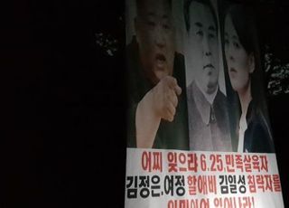 북한이 '보답'할까?…관보 게재된 대북전단금지법, 3개월 뒤 시행