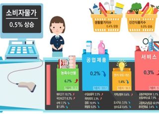 올해 소비자물가 상승폭 0%대, 2년째 최저 수준