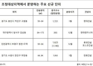 "규제 해봐야"…상승 기대 심리에 식지 않는 부동산 열기