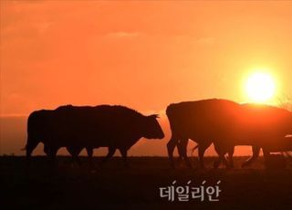 [신축년 정국전망 ①] 재보선 끝나면 대권경쟁…정치의 시간 온다