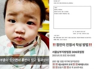 "정인아 미안해 챌린지 다음은 법원 진정서입니다" 여론 확산