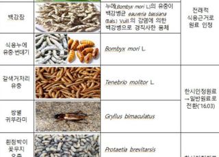 농진청·식약처, 식용곤충 중금속 통합 기준 마련