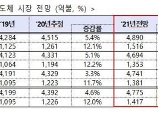 반도체 시장, 올해는 더 좋다…산업 기상도 ‘맑음’