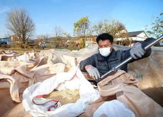 정부 공공미 푼다지만…부족한 생산량에 쌀값 고공행진