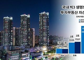 부동산 투자로 다시 눈 돌리는 생보사 왜