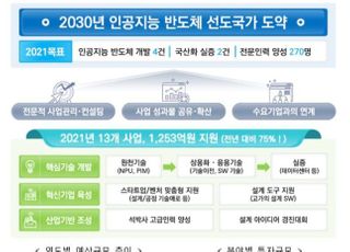 정부, AI반도체 지원사업에 1253억 투자…전년비 75%↑