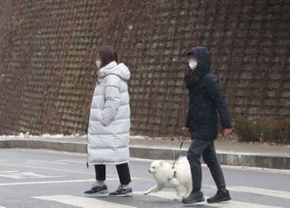 &lt;포토&gt; '눈발 맞으며'