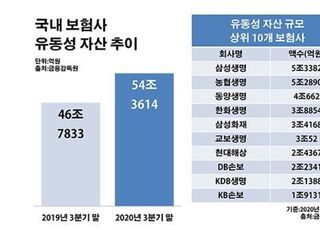 보험사 유동성 확충에 가려진 투자 수익률 '딜레마'