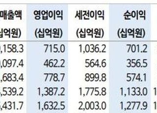 "삼성SDI, 올해 자동차용 배터리 사업 호재…목표가↑"-신한금융투자