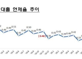 11월 은행대출 연체율 두달째 0.34%…신용대출 연체율 ↑